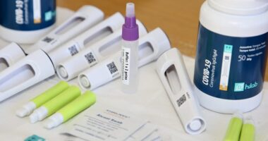 Biden-Harris Spend Your Tax Dollars on 'Free' COVID Testing Kits Again.