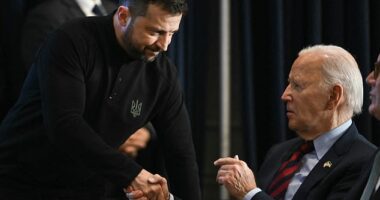 Ukrainian President Volodymyr Zelensky shakes hands with US President Joe Biden