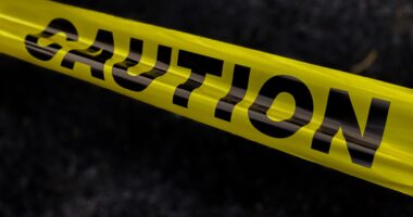 New Jersey Authorities Investigate After Nicholas Brian Holsten Body Is Discovered On Conveyor Belt At Recycling Plant
