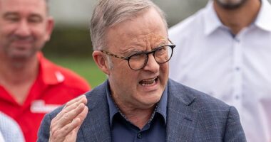 Support for Anthony Albanese 's Labor government has plummeted to its lowest level on record in NSW, with the Labor party also taking a hit in Victoria