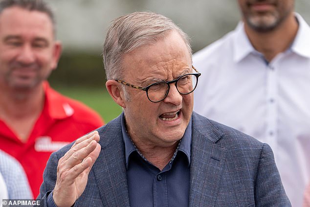 Support for Anthony Albanese 's Labor government has plummeted to its lowest level on record in NSW, with the Labor party also taking a hit in Victoria