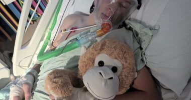But moments later his mother, Nichola King, discovered him on the kitchen floor having a seizure