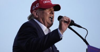 CNN Trots Out Historian Who Uses Hitler to Say Trump Made 'It Easier For Disturbed Minds' To Target Him – RedState