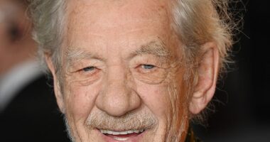 Sir Ian McKellen (pictured) received his knighthood in services to performing arts in 1991 and in 2008 the late monarch appointed him Companion of Honour for his services to drama and equality.