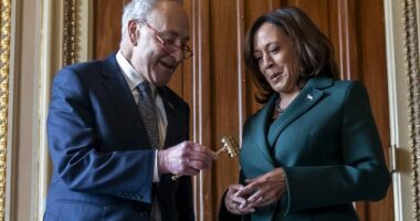Cardinal Raises Eyebrows After Sharing What Schumer Told Him About Kamala Skipping Al Smith Dinner – RedState