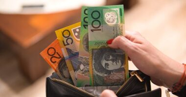 Indexation of pensions and payments including the Age Pension, Disability Support Pension and Carer Payments, Commonwealth Rent Assistance, JobSeeker, and Parenting Payments will put more money in people's pockets from this Friday, September 20