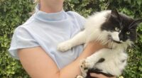 Cat shocks its owners by walking through the door - days after they paid to have him CREMATED