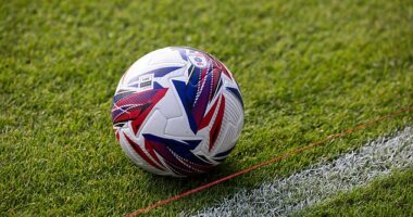 Cardiff City have sacked manager Erol Bulut, with the Bluebirds bottom of the Championship