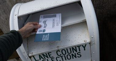 During a two-week investigation, an Oregon DMV reportedly 'looked at over a million documents' dating back to 2021 only to discover 1,259 people were registered to vote by mistake