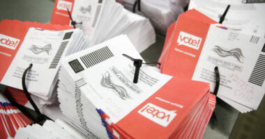 Congress Initiates Poll Watcher Program in Unprecedented Election Security Drive.