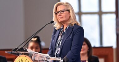 Conservatives may have to create a new party after the GOP became ‘corrupted’ by Trump, Liz Cheney suggests