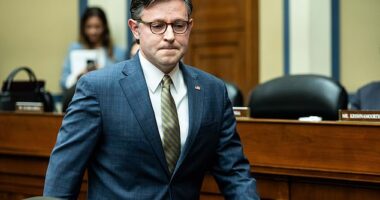House Speaker Mike Johnson, R-La., is counting on getting all of his GOP colleagues on board with his funding plan with the SAVE Act attached, after all, immigration is a top issue for the party. But one Republican told DailyMail.com 'Hell no' he won't be helping Johnson's gambit