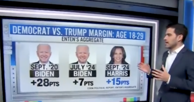 Data Guru Questions Whether Taylor Swift Endorsement Is Enough to Boost Kamala's Youth Vote.