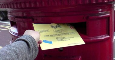 Mail-in ballot