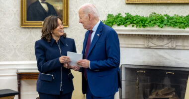 Dems Didn't ‘Lower Temp’ Between Trump Assassination Attempts