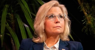 Former Rep. Liz Cheney threw her support this week to Kamala Harris. She said Friday that her father Dick Cheney would be voting for the vice president as well