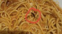 Diner finds cockroach in Bolognese while dining at Saizeriya outlet in Somerset - Mothership.SG