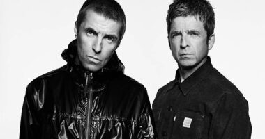 Lovers of the Manchester-born Gallagher brothers were prepared to wait hours in Ticketmaster queues - for both accessible tickets and regular tickets for some venues