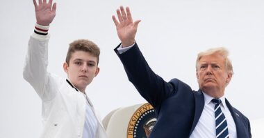 Barron Trump didn't appear on a livestream to promote the new family business - above he's seen with his father Donald Trump