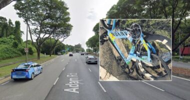 Drunk driver, 40, who killed 1 cyclist & injured another in Adam Road hit-&-run, jailed 2 years - Mothership.SG