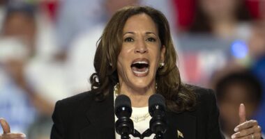 Election 2024 live updates: Kamala Harris hit with Donald Trump polling shock after debate