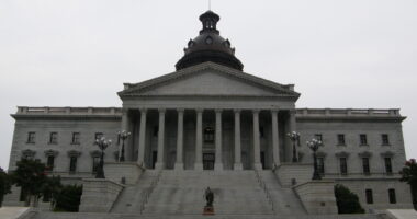 Election Integrity Group Can Inspect SC Voter Rolls, Judge Rules