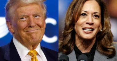 Elections 2024 live updates: Latest Trump vs Harris polls and news