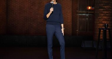 Ellen DeGeneres is returning to the small screen for what she says is the last comedy special of her career. Ellen DeGeneres: For Your Approval will begin streaming on Netflix September 24