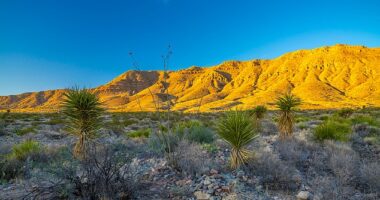 The Wylie Mountains Ranch in Van Horn, Texas - roughly two hours from El Paso - has hit the market for $27million