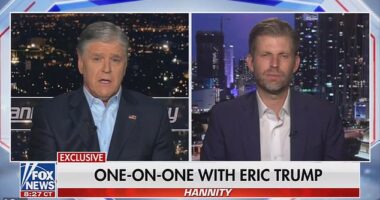 'I expect him to be protected, I expect him to be safe,' Eric Trump told Fox News' Sean Hanity of the his father Donald Trump