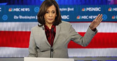 Even CNN's Daniel Dale Has to Call Out Kamala Harris Campaign's Lying Social Media Posts – RedState