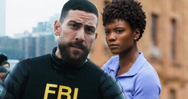 FBI Season 7 Synopsis Reveals New Details That Could Influence Character's Upcoming Exit