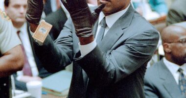 New never seen before FBI files on OJ Simpson have revealed the extensive information and efforts that were made to collect evidence in the infamous case
