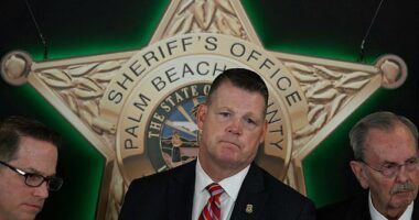U.S. Secret Service Acting Director Ronald Rowe said that the suspected gunman never had a line of sight to Donald Trump and confirmed he did not fire off his rifle before he was engaged by agents on the former president's protective detail