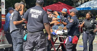 At least six people have been shot during the West Indian Day Festival parade in New York City