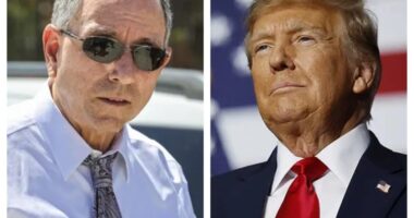 Florida Sheriff Suggests Possibility of 'Conspiracy' to Kill President Trump After Second Failed Assassination Attempt