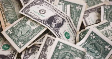 Tanya Absoseada Florida Woman Sentenced After Scamming Grandmother Of $317K