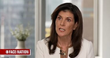 Nikki Haley is on 'standby' if Donald Trump 'need me' to go on the campaign trail