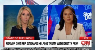 Former Hawaii Rep. Tulsi Gabbard faced Kamala Harris in two separate debates in the 2020 Democratic primary cycle – and is warning Donald Trump not to 'underestimate' the vice president