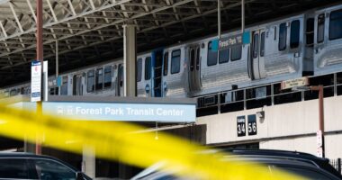 Four people killed as they slept on Chicago subway train in mass shooting