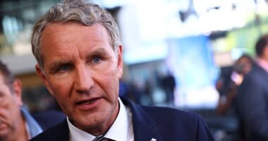 Bjorn Hocke (pictured), member of Alternative fur Deutschland (AfD), looks on after first exit polls in the Thuringia state elections