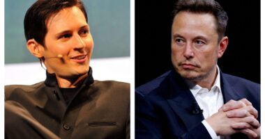 Globalists Demand for the Persecution of Elon Musk Following Arrest of Telegram Founder in Paris
