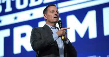 Grenell Accuses Germany of Election Interference Over Anti-Trump X Post.