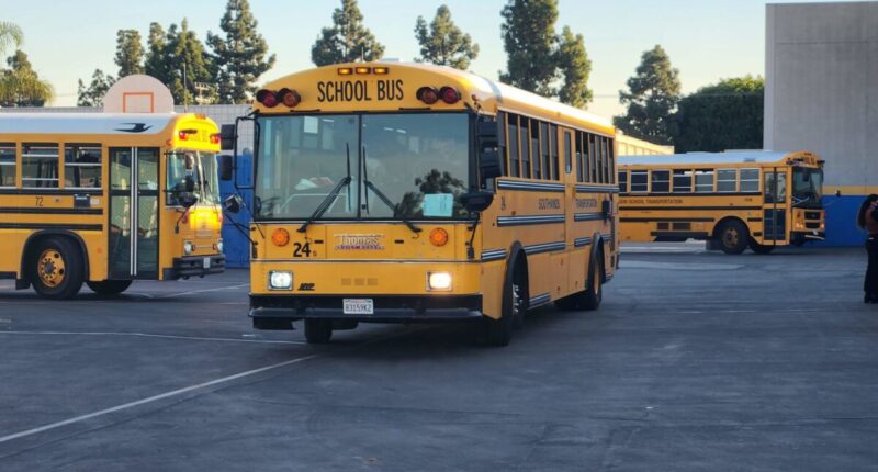 School bus