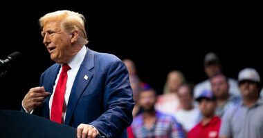 A nonprofit has filed suit in Ohio against Donald Trump and JD Vance for 'flouting' false claims about migrants in the town of Ohio eating people's pets