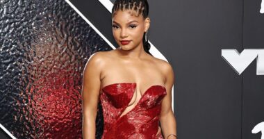 Halle Bailey Claps Back At Social Media Trolls Over Negativity Surrounding Her Son Halo
