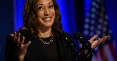 Harris, Dem sweep could mean a $2.2 trillion tax hike for S&P 500 companies