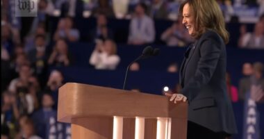 Harris Is The Machine Candidate Running A Celebrity Campaign