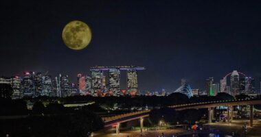Harvest Moon to grace S’pore skies on Sep. 18, a day after Mid-Autumn Festival - Mothership.SG