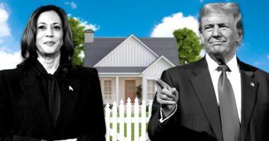 Here’s who is considered middle class, as Harris and Trump fight for their votes